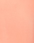 Salamander Orange